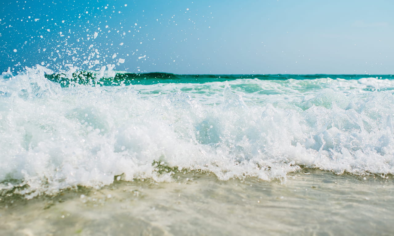 海