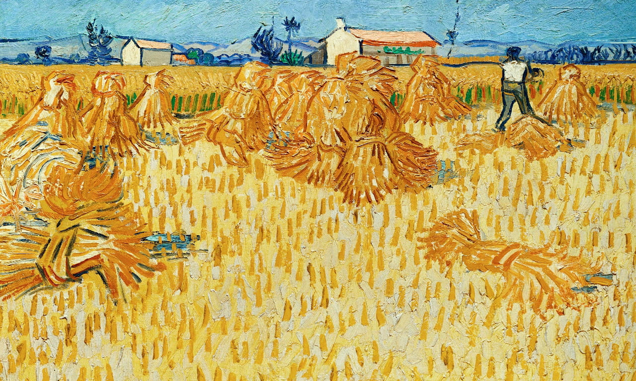 梵高，油画，收获